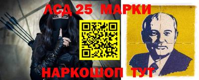 стаф Дубна
