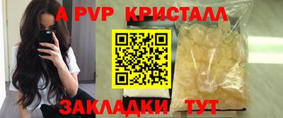 стаф Дубна