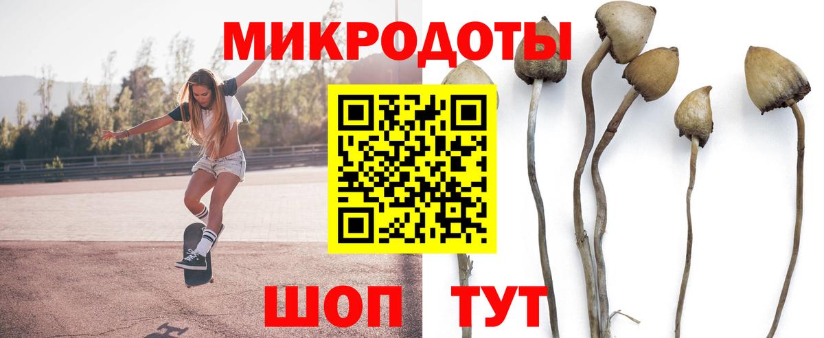 Псилоцибиновые грибы Cubensis  Вход с VPN  Нарткала 